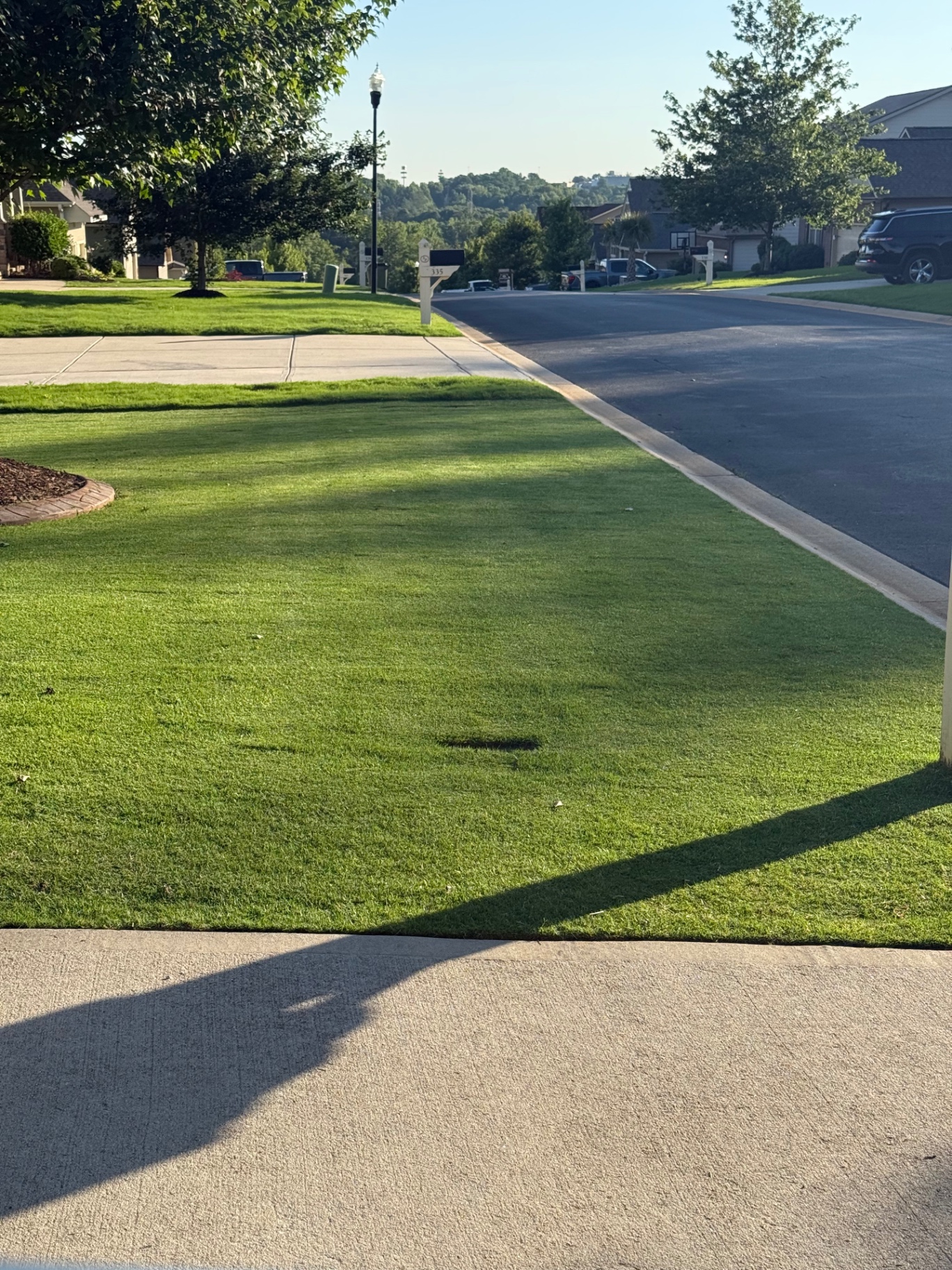 Beautifully striped residential lawn at golden hour in the Upstate of South Carolina